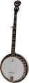 Deering Eagle II Banjo with Case
