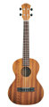 aNueNue Papa III Tenor Ukulele (with Gig Bag)