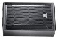 JBL STX815M 2-Way Floor Monitor Speaker (1600 Watts, 1x15")