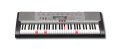 Casio LK230 61-Key Lighted Keyboard