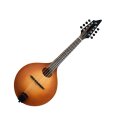 Breedlove American OO Vintage Mandolin (with Case)