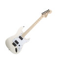 Fender Jim Root Stratocaster Electric Guitar (with Case)