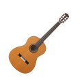 Cordoba Fusion Orchestra CD Classical Acoustic Guitar, with Gig Bag