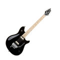 EVH Eddie Van Halen Wolfgang USA Electric Guitar (with Case)