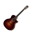 Taylor 714ce-N Grand Auditorium Classical Nylon Acoustic-Electric Guitar (with Case)