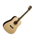 Washburn WD20S Dreadnought Acoustic Guitar