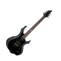 ESP LTD F10 10 Series Electric Guitar