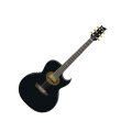 Ibanez EP5 Steve Vai Signature Acoustic-Electric Guitar