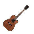Ibanez AW250ECE Artwood Acoustic-Electric Guitar
