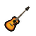 Ibanez AW300 Artwood Acoustic Guitar