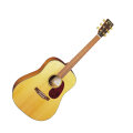 Martin SWDGT Sustainable Wood Series Acoustic Guitar, with Case