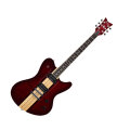 Schecter Dan Donegan Ultra Electric Guitar