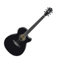 Ibanez AEG10II Grand Concert Acoustic-Electric Guitar
