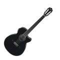 Ibanez AEG10NII Grand Concert Classical Acoustic-Electric Guitar