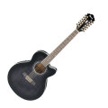 Ibanez AEL2012ETKS 12-String Acoustic-Electric Guitar
