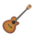 Ibanez AEL20E AEL Cutaway Acoustic-Electric Guitar