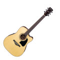 Ibanez AW50ECE Artwood Acoustic-Electric Guitar