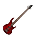 ESP LTD B-55FM Electric Bass, 5-String