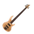 ESP LTD B205 Fretless Electric Bass, 5-String