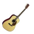 Martin D-41 Dreadnought Acoustic Guitar with Case