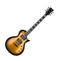 ESP LTD EC-1000 Deluxe Series Electric Guitar