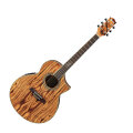 Ibanez EW20ZWE Exotic Wood Acoustic Electric Guitar