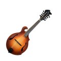 Breedlove American FF Mandolin (with Case)