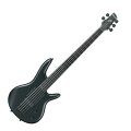 Ibanez GWB35 Gary Willis Fretless Electric Bass, 5-String
