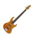 ESP LTD Elite J5 Electric Bass, 5-String (with Case)