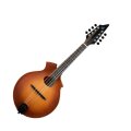 Breedlove American KO Vintage Mandolin (with Case)