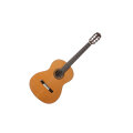 Cordoba Fusion Orchestra CD/IN Classical Acoustic Guitar (with Gig Bag)