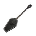 Epiphone Zakk Wylde Graveyard Disciple Electric Guitar (with Case)