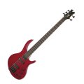 Tobias Toby Deluxe V Electric Bass (5-String)
