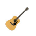Alvarez RD16 Dreadnought Acoustic Guitar