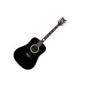 Schecter RS1000 Robert Smith Acoustic Guitar