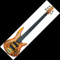 Ibanez SR805 Electric Bass, 5-String