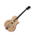 Taylor T3B Semi-Hollowbody Electric Guitar with Bigsby Tremolo (with Case)