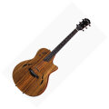 Taylor T5X Classic Acoustic-Electric Guitar with Gig Bag