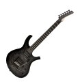 Parker PDF100 Electric Guitar