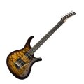 Parker PDF100 Electric Guitar