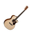 Martin GPCPA1 Madagascar Rosewood Acoustic Guitar (with Case)