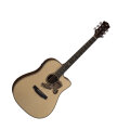 Luna AME100 Americana Eagle Acoustic-Electric Guitar