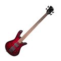 Spector Legend Classic 4 Fretless Electric Bass