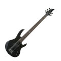 ESP LTD B15 5-String Electric Bass