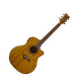 Dean Exotica Zebra Acoustic-Electric Guitar