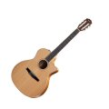 Taylor 414ce-N 2012 Fall Limited Edition Classical Nylon Acoustic-Electric Guitar