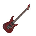 ESP LTD M100FM Flame Maple Electric Guitar