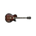 Ibanez AG95 Artcore Electric Guitar