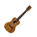 Cordoba UP110 Concert Acoustic Ukulele Package