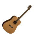 Washburn WD11S Dreadnought Acoustic Guitar